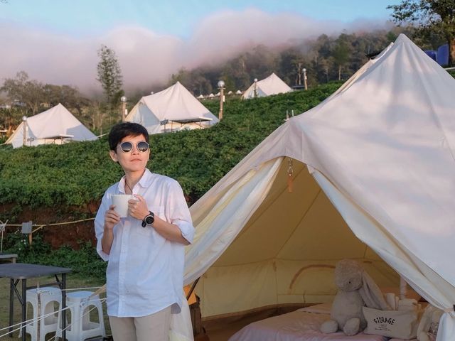 CAMP Phuchifa แคมป์ภูชี้ฟ้า 