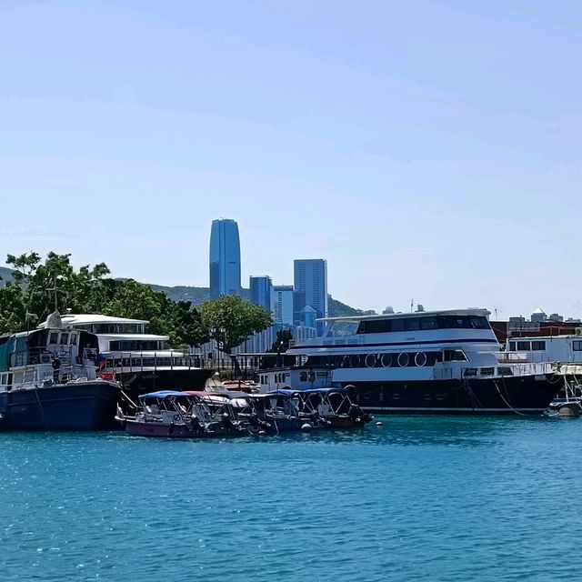 Typhoon shelter, pier and seafood