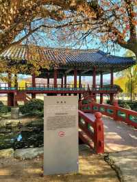 춘향제가 열리는 아름다운 한국의 정원, 광한루원🌳