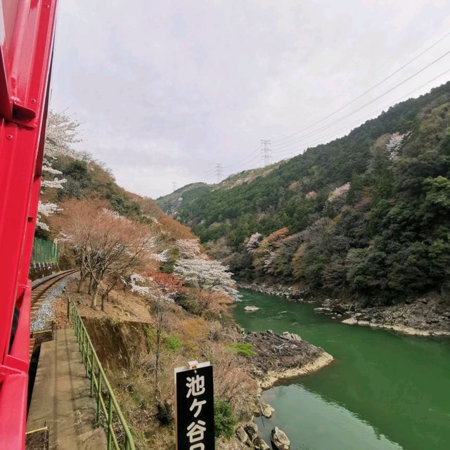 Sagano romantic train