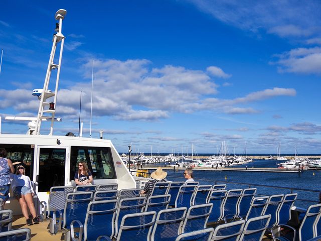【オーストラリア・パース】ロットネスト島日帰り観光🛳️
