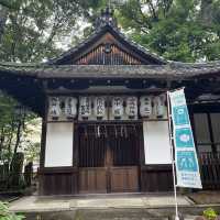 【超多可愛兔兔】京都東天王岡崎神社