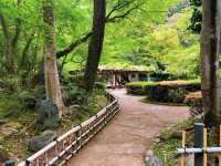 สวนสาธารณะกิฟุ (Gifu Park)🌳🌿