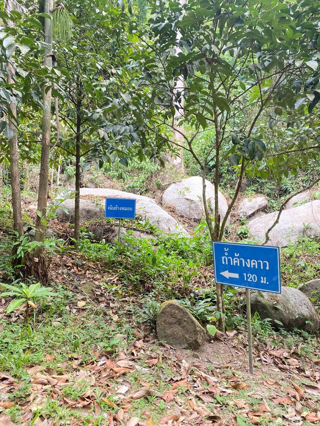 💦น้ำปิ๊ ต.คมบาง ⛰️ เล่นน้ำ ถ่ายภาพ ปิกนิก 🌞👒💕