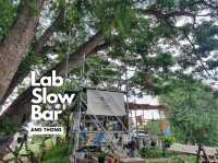 Lab Slow Bar | Ang Thong🌱