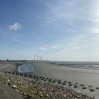 ✨許厝港濕地✨