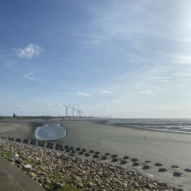 ✨許厝港濕地✨