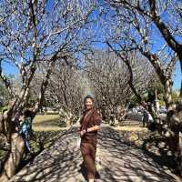 พิพิธภัณฑสถานแห่งชาติ น่าน
