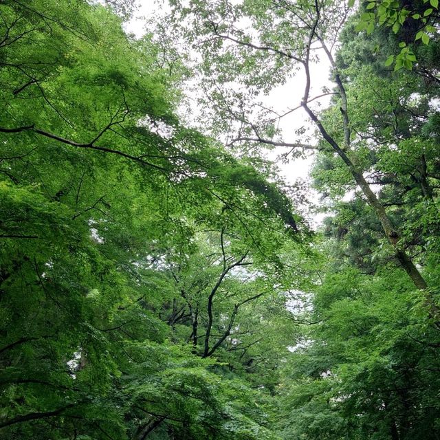 香取神宮