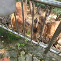 진주 진양호 동물원