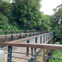 石門大圳綠色廊道 🍃