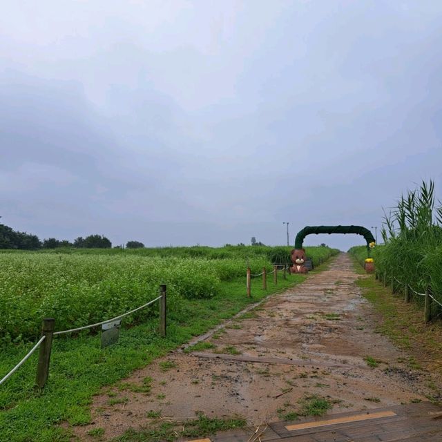 韓國景點📸天空公園🥰親親大自然⭐打卡熱點😍