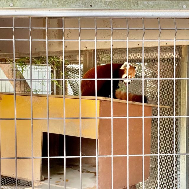 【熱川バナナワニ園】ワニ以外にもいろんな生き物に会える