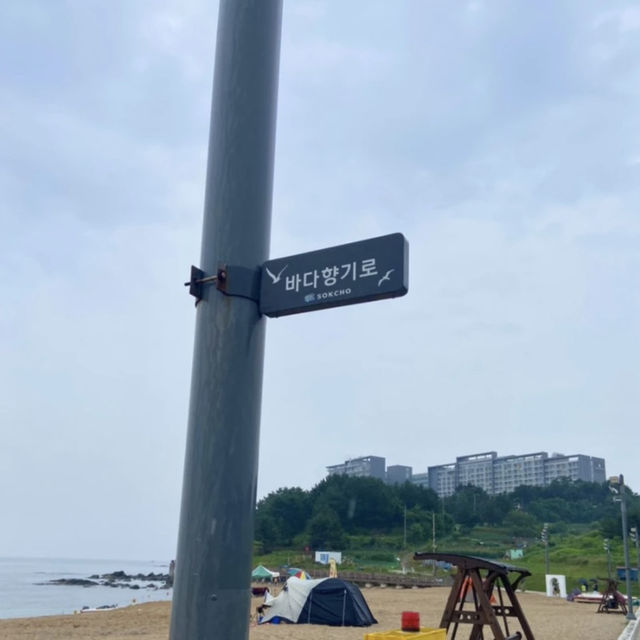 속초 산책하기 좋은 외옹치 바다향기로 🌳