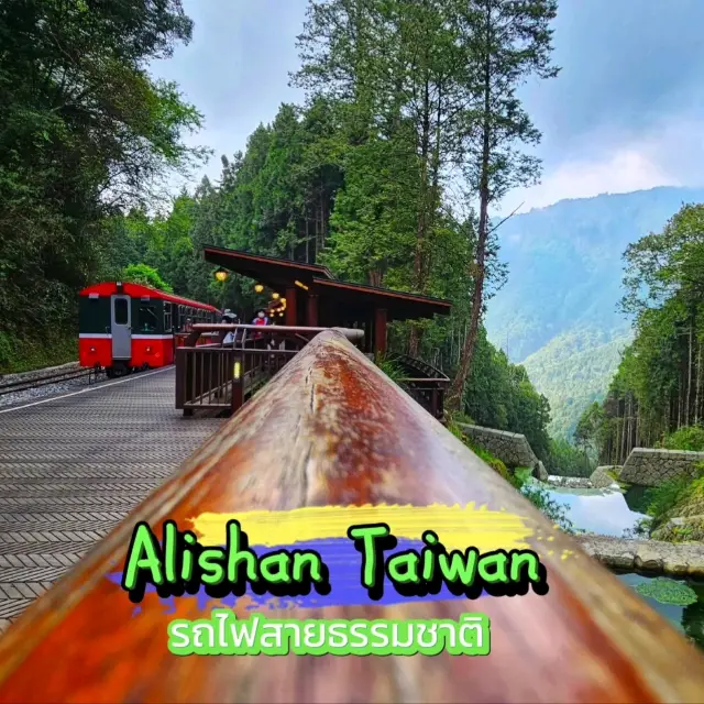 Alishan Taiwan 