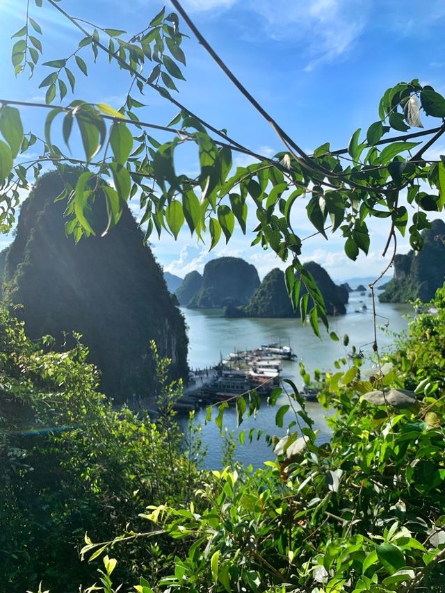 💙🇻🇳Surprising Cave in Halong bay🇻🇳💙