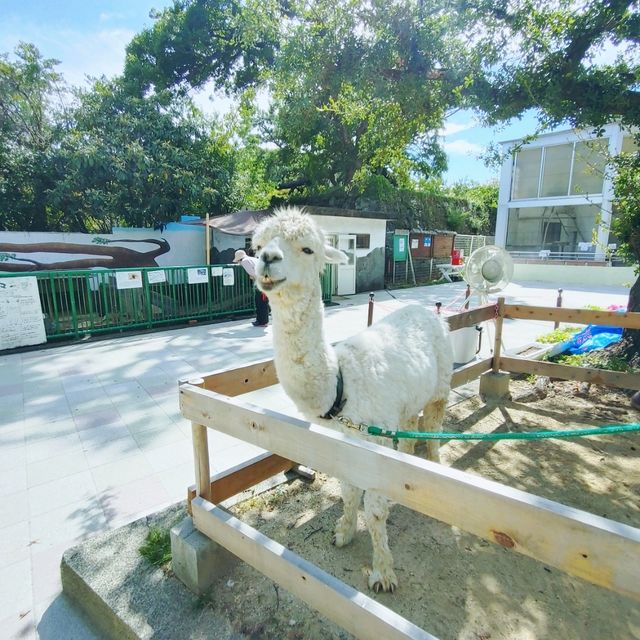 和歌山周辺観光に最適！カンデオホテルズ南海和歌山