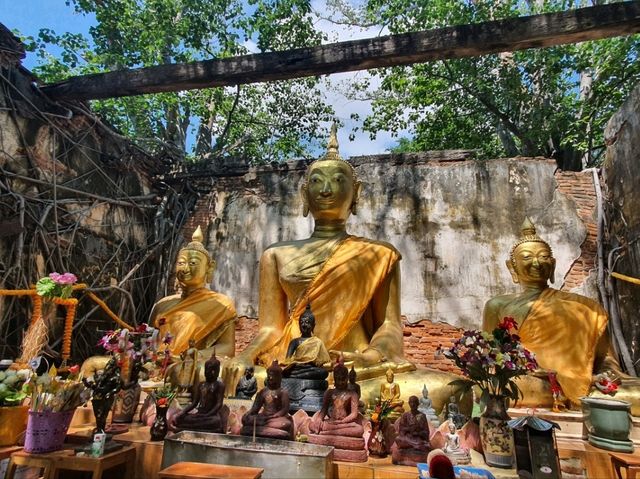 พาชมวัดสังกระต่าย