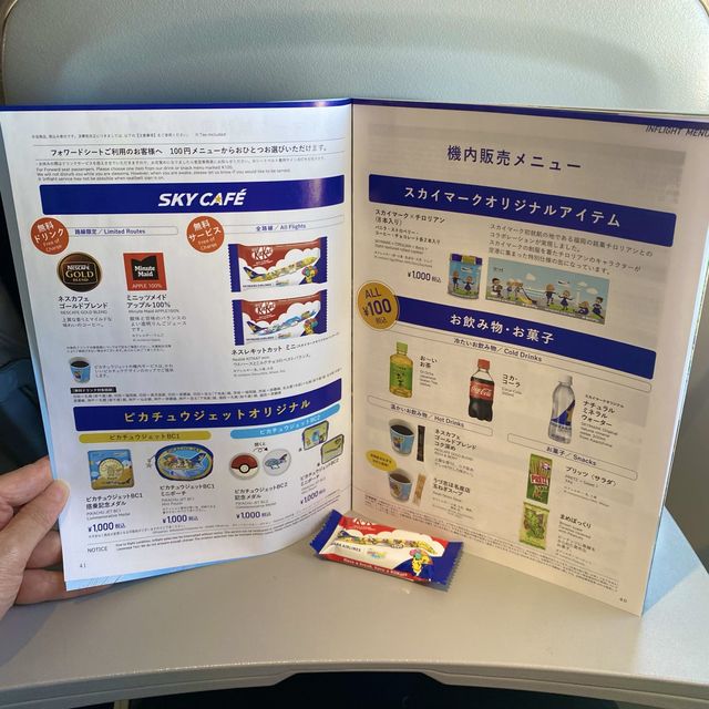 スカイマーク搭乗記【神戸→羽田】