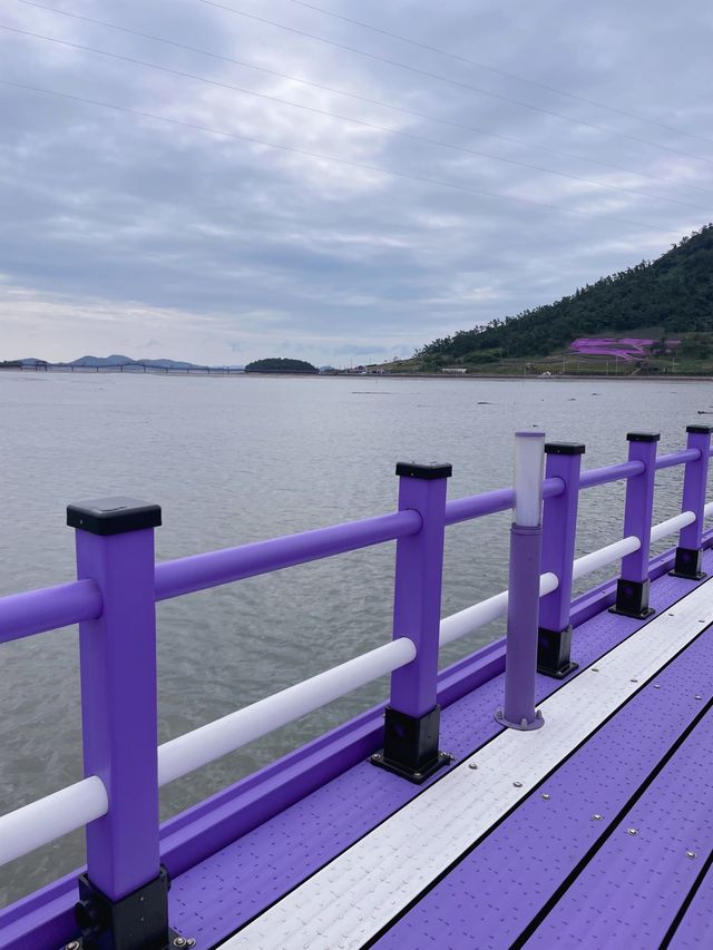 🇰🇷신안여행 보라빛마을 퍼플섬, 보라색 옷 입으면 입장료 무료🦄🍇💜