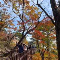 Golden Mountain in South Korea 🇰🇷