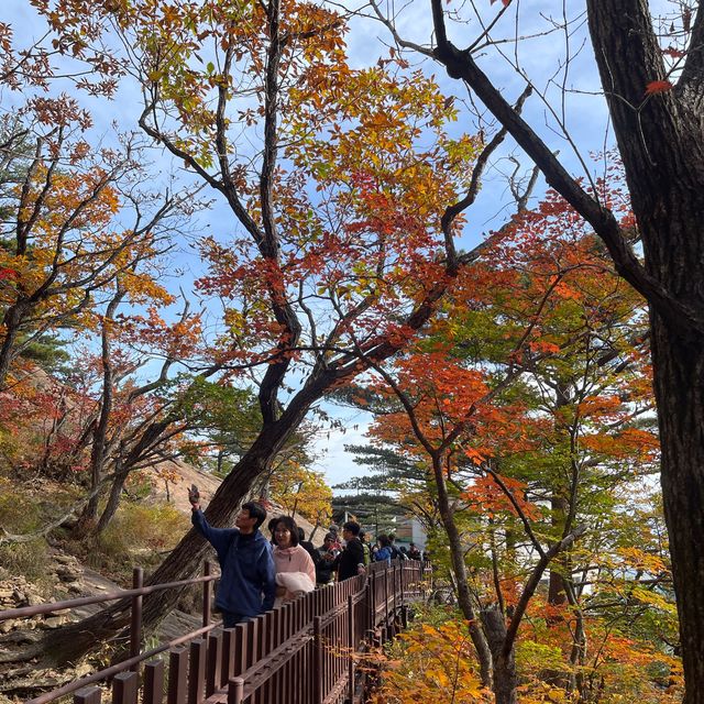 Golden Mountain in South Korea 🇰🇷