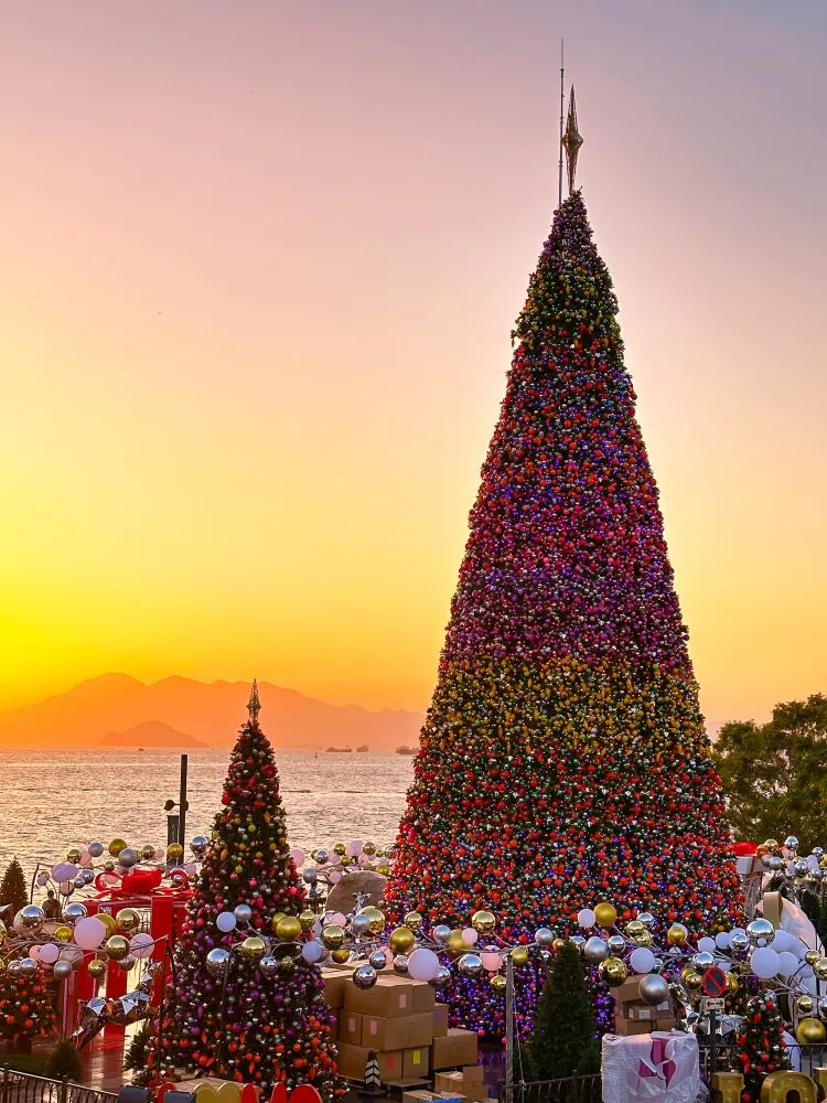 香港|西九龍的海邊聖誕樹🎄與日落有點搭