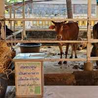 วัดบัวขวัญพระอารามหลวง