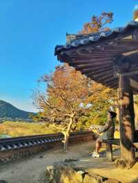 늦가을 즐기기 좋은 밀양여행지🍂
