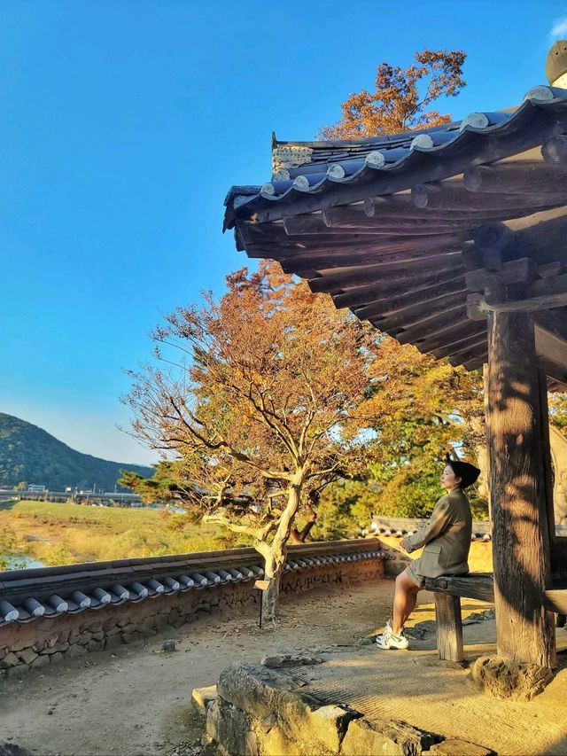 늦가을 즐기기 좋은 밀양여행지🍂