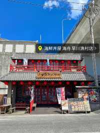 【小田原グルメ】地魚が美味しすぎる✨海鮮丼屋海舟