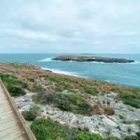 Cape du Couedic, South Australia 🇦🇺