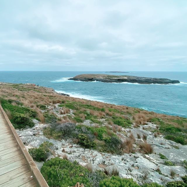 Cape du Couedic, South Australia 🇦🇺