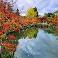 Eikan-dō Temple, fall is here!