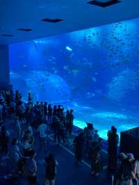 2023年思い出にのこる幻想的な水族館