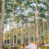 Na-Wana ณ วนา Camping Ground