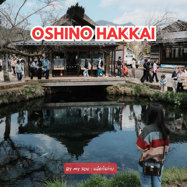 📍Oshino Hakkai (หมู่บ้านน้ำใส)