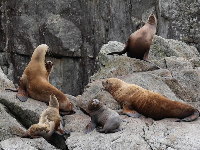 Amazing day at the Alaska Wild Life adventure