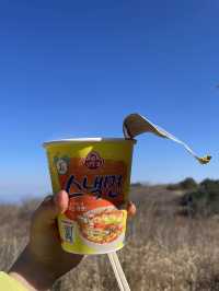 영남알프스 8봉 “고헌산”