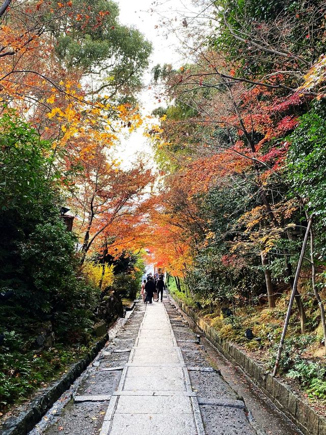 Temple hopping in Kyoto ‼️