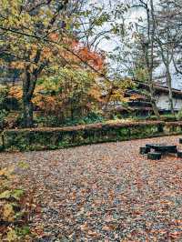 🇯🇵日本東北👣 秋田縣角館武家屋敷🍁