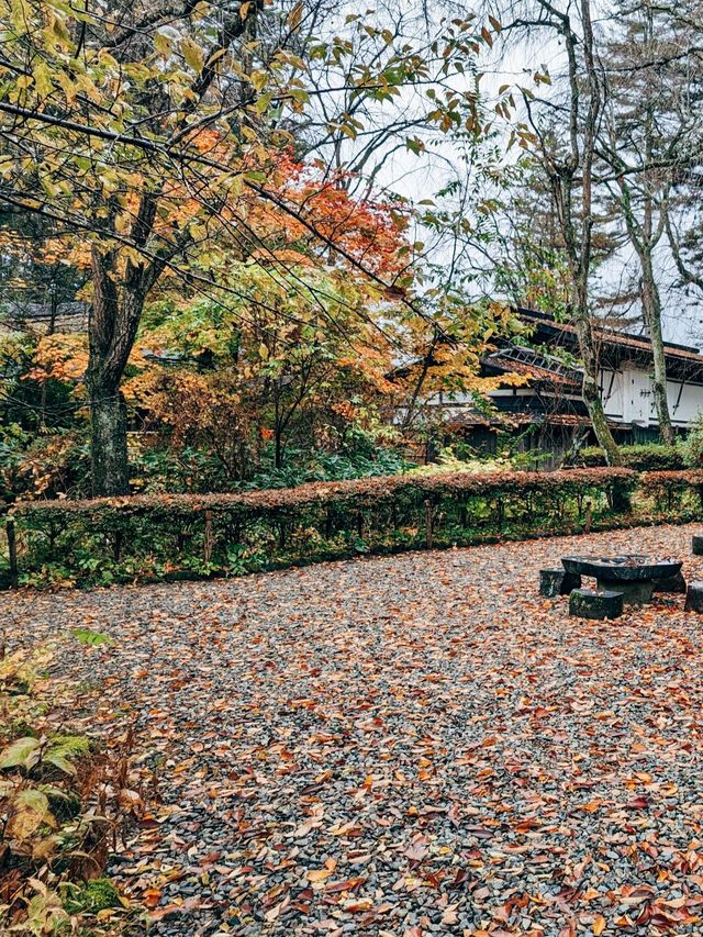 🇯🇵日本東北👣 秋田縣角館武家屋敷🍁