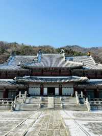 【韓国ドラマ好きにおすすめ！】龍仁大長今パーク🇰🇷