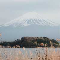 Oishi Park Cafe, Kawaguchiko