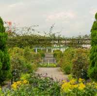 Yokohama View from the park