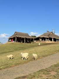 Akha Farmville (ดอยช้าง)