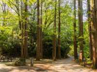 Ikuta Park