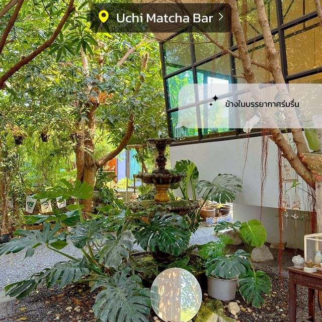 Uchi Matcha Bar 