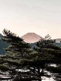 入住日本山景湖景集於一身的箱根蘆之湖皇家王子大飯店 the prince hakone lake ashinoko🏨 
