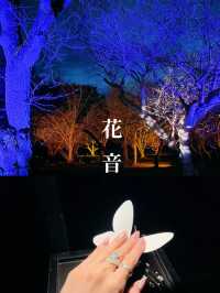  【京都】2024年も開催決定！世界遺産二条城で楽しむ夜桜イベント🌸🏯